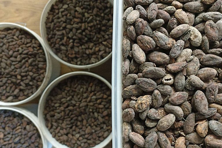Benefits of cocoa beans And Other Products