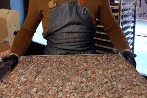 teglia con fave di cacao