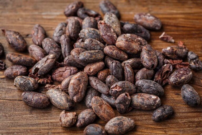fave-cacao
