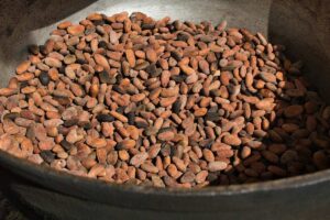 tostatura-fave-cacao